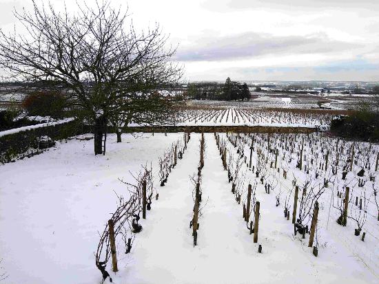 Chassagne-Montrachet in the snow