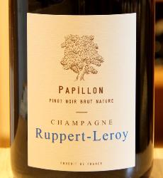 CHAMPAGNE PAPILLON - Ruppert-Leroy - 2022 White Organic 0.75L