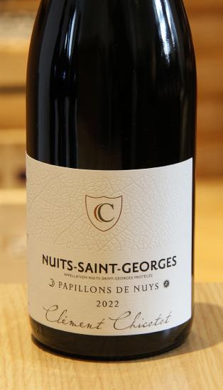 NUITS-SAINT-GEORGES Papillons de Nuys - Domaine Georges Chicotot - 2022 Red Organic 0,75L