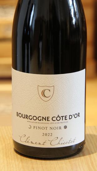 BOURGOGNE COTE D'OR - Domaine Georges Chicotot - 2022 Red Organic 0.75L