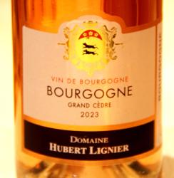 BOURGOGNE ROSÉ GRAND CÈDRE - Domaine Hubert Lignier - 2023 Rosé Organic 0,75L