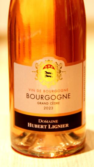 BOURGOGNE ROSÉ GRAND CÈDRE - Domaine Hubert Lignier - 2023 Rosé Organic 0,75L