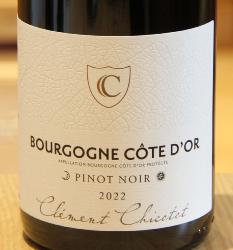 BOURGOGNE COTE D'OR - Domaine Georges Chicotot - 2022 Red Organic 0.75L